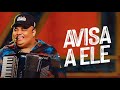 AVISA ELE TARCÍSIO DO ACORDEON