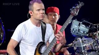 Red Hot Chili Peppers - Ethiopia - Sheffield, UK [Multicam]