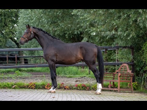 Bon Bravour x De Niro