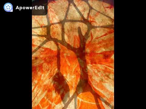 Fehérholló Öskü: Napnál is hevesebben