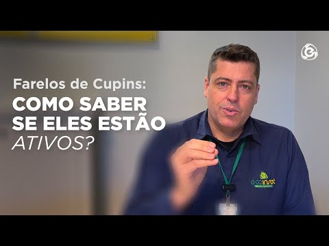 Farelos de Cupins: Como Saber se Eles Estão Ativos?