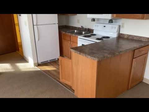 Video 1