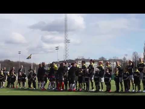 AIK Damallsvenskan med AIK F08 09