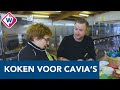 Koken voor cavia's: 'Het zijn kritische eters' - OMROEP WEST