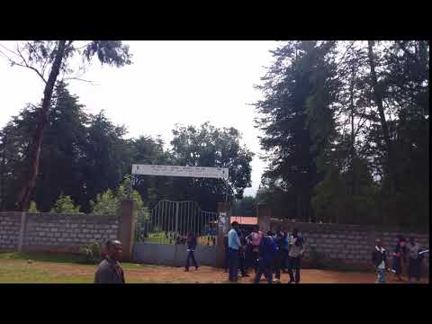 Highschool Students - Fighting