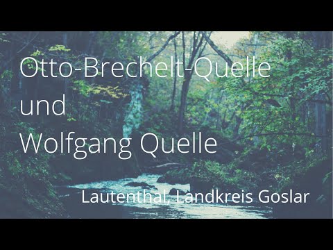Otto-Brechelt-Quelle und Wolfgang Quelle | Lautenthal | Landkreis Goslar | Wasserquellen im Harz