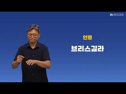 브리스길라 수어