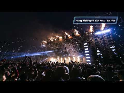 Ashley Wallbridge x Evan Henzi - Still Alive
