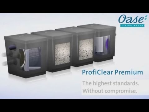 Watch Video on YouTube