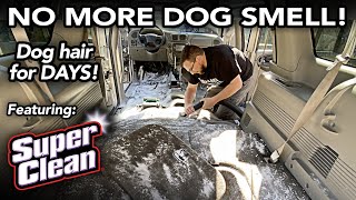 Removing dog hair and smell from a vehicle - Silvester gets detailed! - SATISFYING