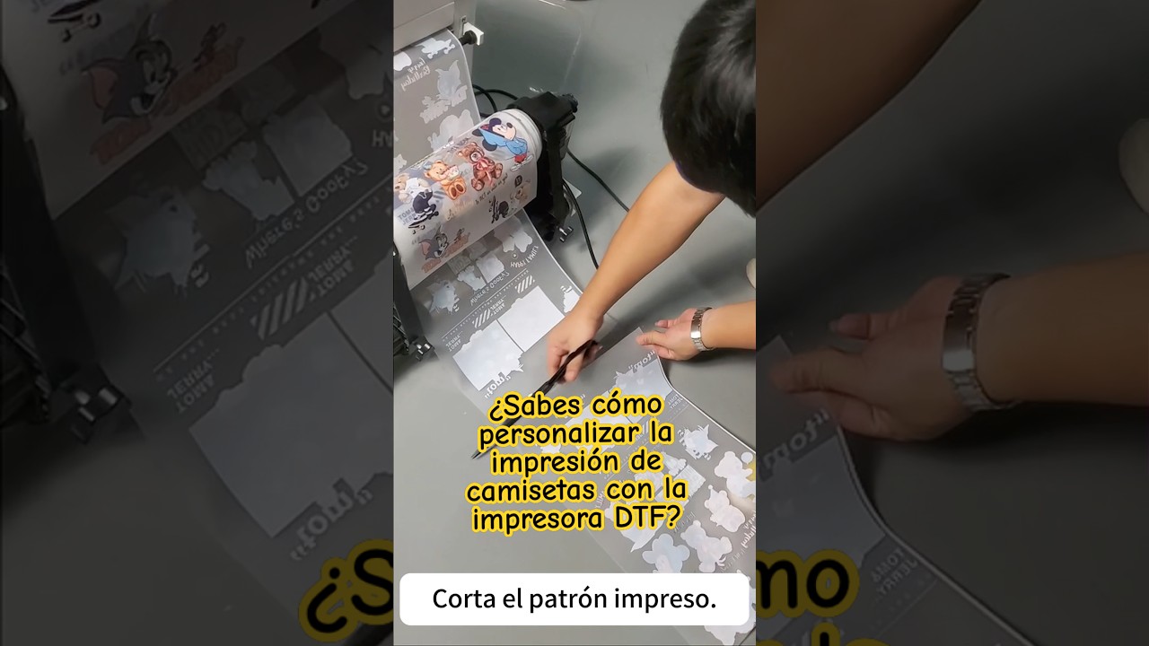 DTF| Cómo personalizar la impresión de camisetas con la impresora DTF iColorPro| alta rentabilidad