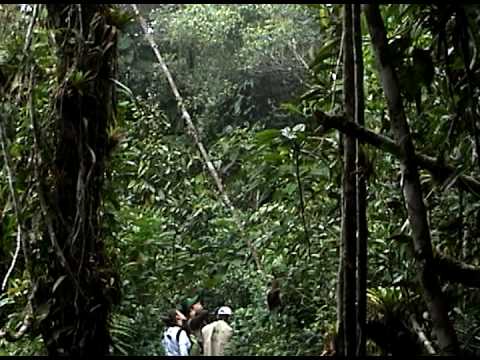 Otra reserva de PROAVES COLOMBIA