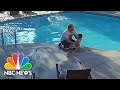 Man Jumps Fence To Save Drowning Four-Year-Old Boy