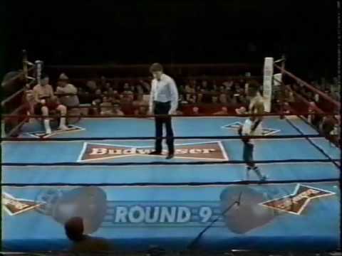 Jose Vidal vs Delio Palacios - Rounds 6 - 11