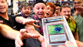 Compete to Win a Black Lotus