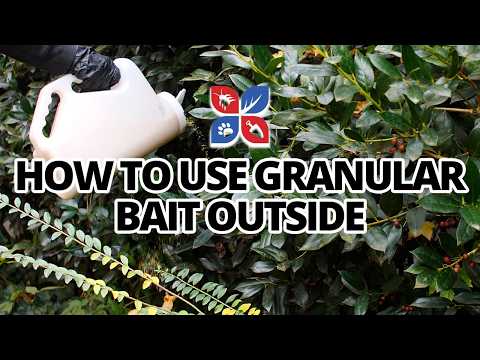  How to Use Perimeter Granular Insect Bait Around Your Home Video 