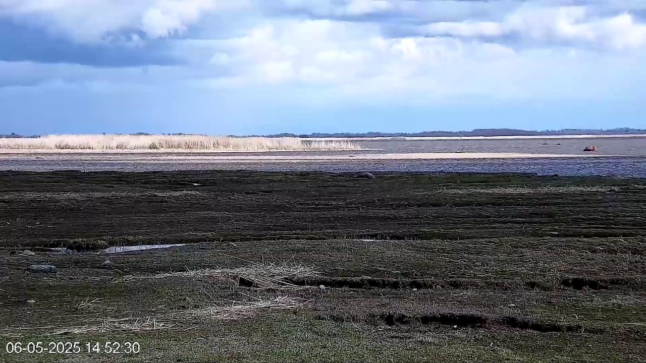 Haeska rändekaamera