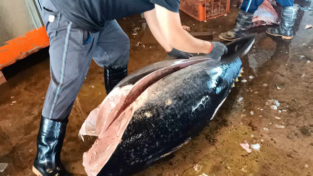 The Sharpest Knife for Cutting Bluefin Tuna is Like Cutting Cream