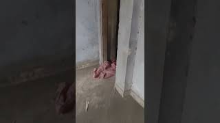 3 BHK Flat for Sale in Madhu Vihar, Patparganj, Delhi