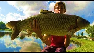 How to catch BIG Grass Carp the easiest way tutorial
