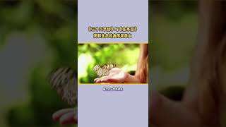 《三十六字经》与《生本言》：阐释生命的本质和意义