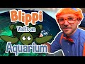 Blippi Blippi Visits The Aquarium Educational Fish And Animals For Kids And Toddlers