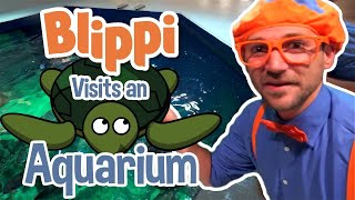 Download lagu Blippi | Blippi Visits The Aquarium | Educational Fish and Animals for Kids and Toddlers mp3