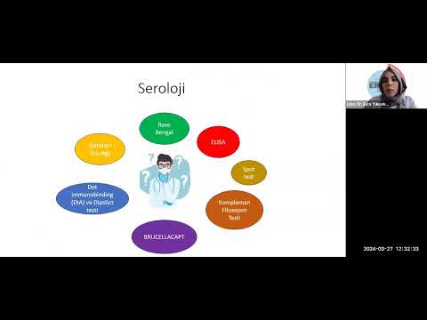 Bruselloz 27 mart 2024