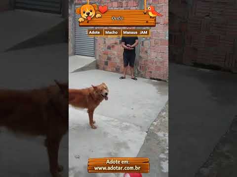 Vídeo de Dudu