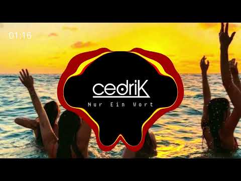 [on Spotify] Wir Sind Helden - Nur Ein Wort (cedriK Techno Remix)