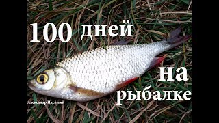 На что клюет красноперка в октябре