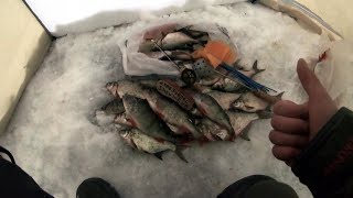 Зимняя рыбалка в свердловской области на окуня