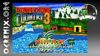 OC ReMix #2552: Donkey Kong Country 3 (GBA) 'Beneath the Moonlight' [Stilt Village] by Theophany...