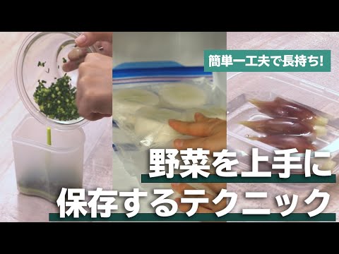 コールラビの保存: こうすれば鮮度が長持ちします ライフスタイル