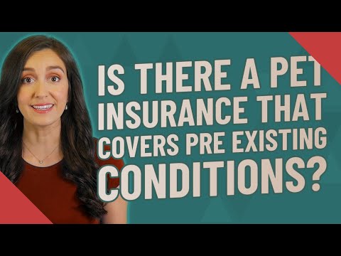 Is there a pet insurance that covers pre existing conditions?