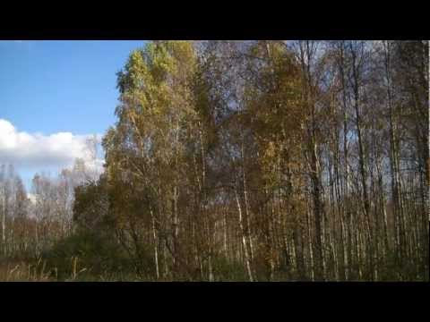 Biebrza - Czerwone Bagno