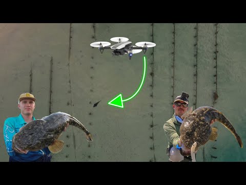 You Won't Believe How Many MONSTER FLATHEAD we Caught in ONE trip | Forster - Mid North Coast 