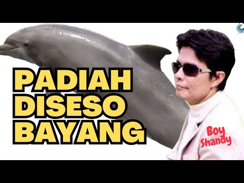 Padiah diseso bayang by Boy Shandy