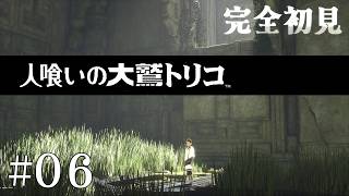 【初見プレイ】目が覚めたら大きなワシがいた Part.6【人喰いの大鷲トリコ/ネタバレ注意】