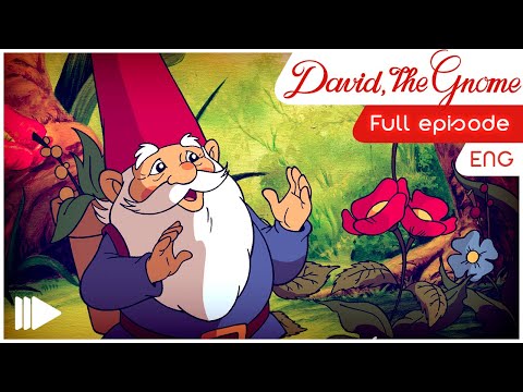 David the Gnome (English) - 10 - The Proffesion Of Curing | Full Episode