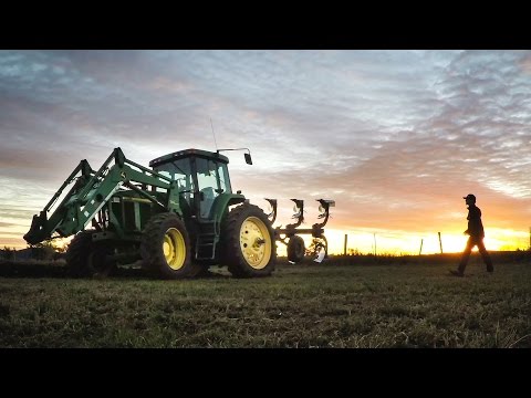 Flipping Fields at Sherbine Farms