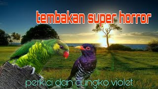Download lagu Tembakan super horror perkici dan cungko violet 🔥 mp3 Download lagu Tembakan super horror perkici dan cungko violet 🔥 mp3