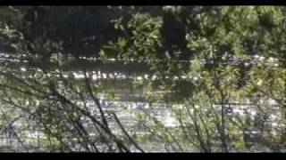 Roky Erickson We are never talking