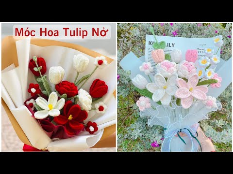 Hoa tulip nở