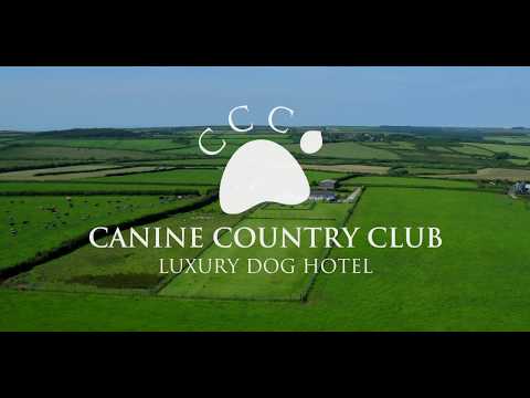 Canine Country Club | Luxury Dog Hotel