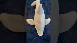 Softest plush Dolphin stuffed toy #🐬 #dolphinplush #ilovedolphin