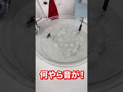 実験室化学およびプロセスにおける実験科学および技術の学士号オプション - 定義