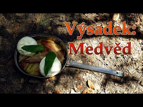 Výsadek: Medvěd - Ruprechtov (a luxusní oběd) :-)