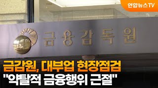 금감원, 대부업 현장점검…"약탈적 금융행위 근절" / 연합뉴스TV (YonhapnewsTV)