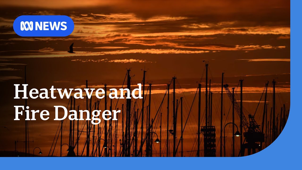 Millions swelter as heatwave grips much of the country | ABC NEWS